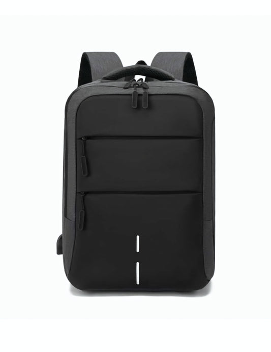 Executive laptop backpack