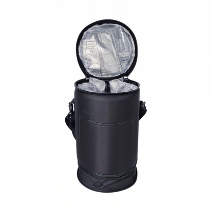 Insulated lunch container